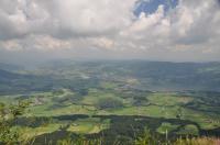 Schober_01.jpg